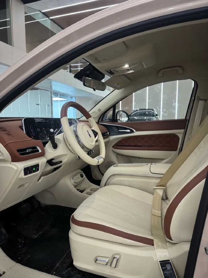 2023 Ora FunkyCat BEV 45.99KWH,autocango,china used car exporter,china ev exporter,chinese used car exporter,chinese used ev exporter