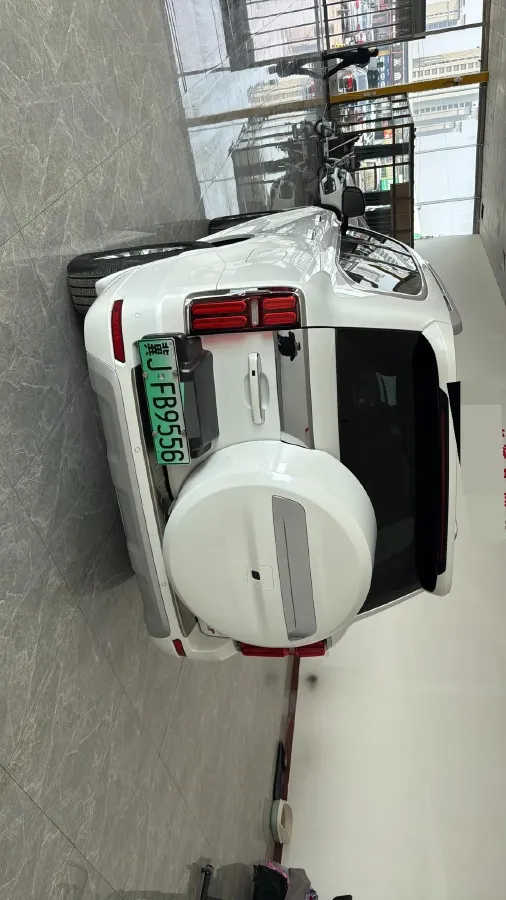 2024 Tank 500 2.0T 252HP L4 9AT PHEV 37.1/36.7KWH,autocango,china used car exporter,china ev exporter,chinese used car exporter,chinese used ev exporter