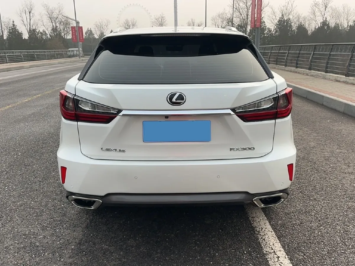 2016 Lexus RX 2.0T 238HP L4 6AT,autocango,china used car exporter,china ev exporter,chinese used car exporter,chinese used ev exporter