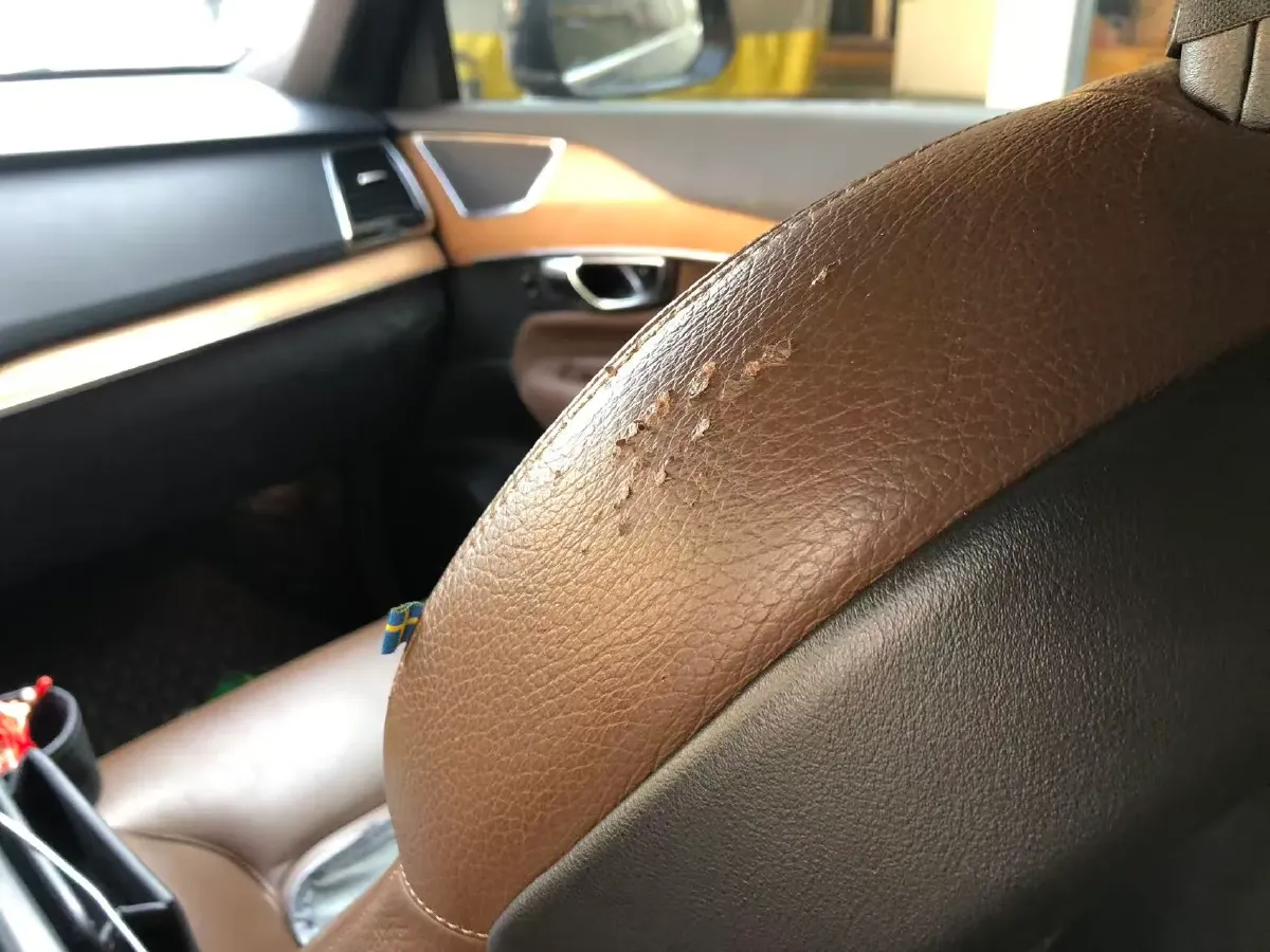 2021 Volvo XC90 2.0T 299HP L4 8AT,autocango,china used car exporter,china ev exporter,chinese used car exporter,chinese used ev exporter