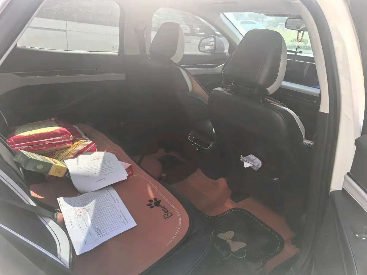 2022 Ford EVOS 2.0T 238HP L4 8AT,autocango,china used car exporter,china ev exporter,chinese used car exporter,chinese used ev exporter