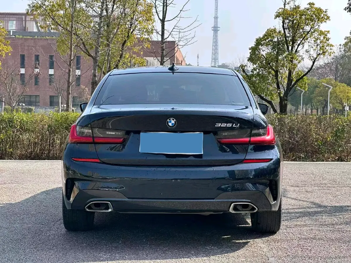 2020 BMW 3 Series 2.0T 184HP L4 8AT,autocango,china used car exporter,china ev exporter,chinese used car exporter,chinese used ev exporter
