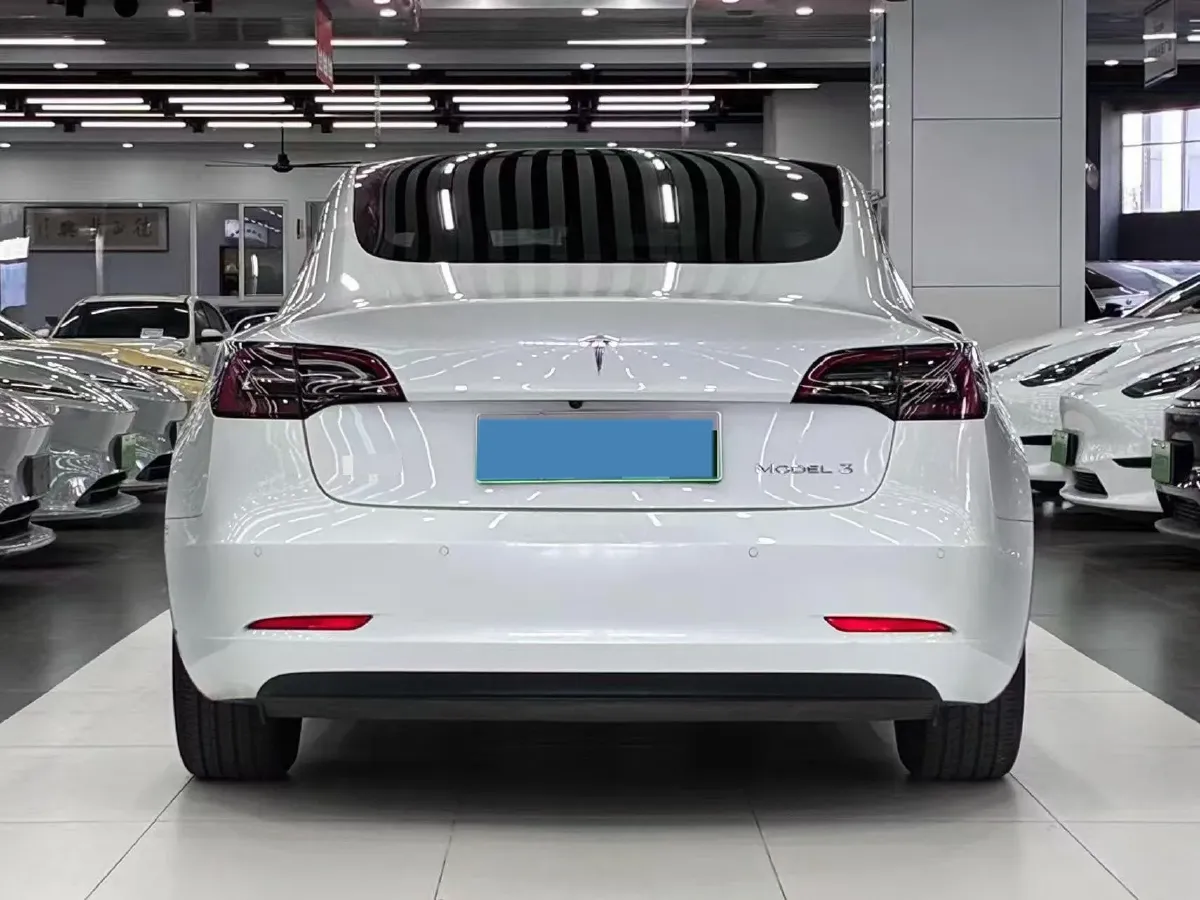 2021 Tesla Model 3 BEV 55KWH,autocango,china used car exporter,china ev exporter,chinese used car exporter,chinese used ev exporter