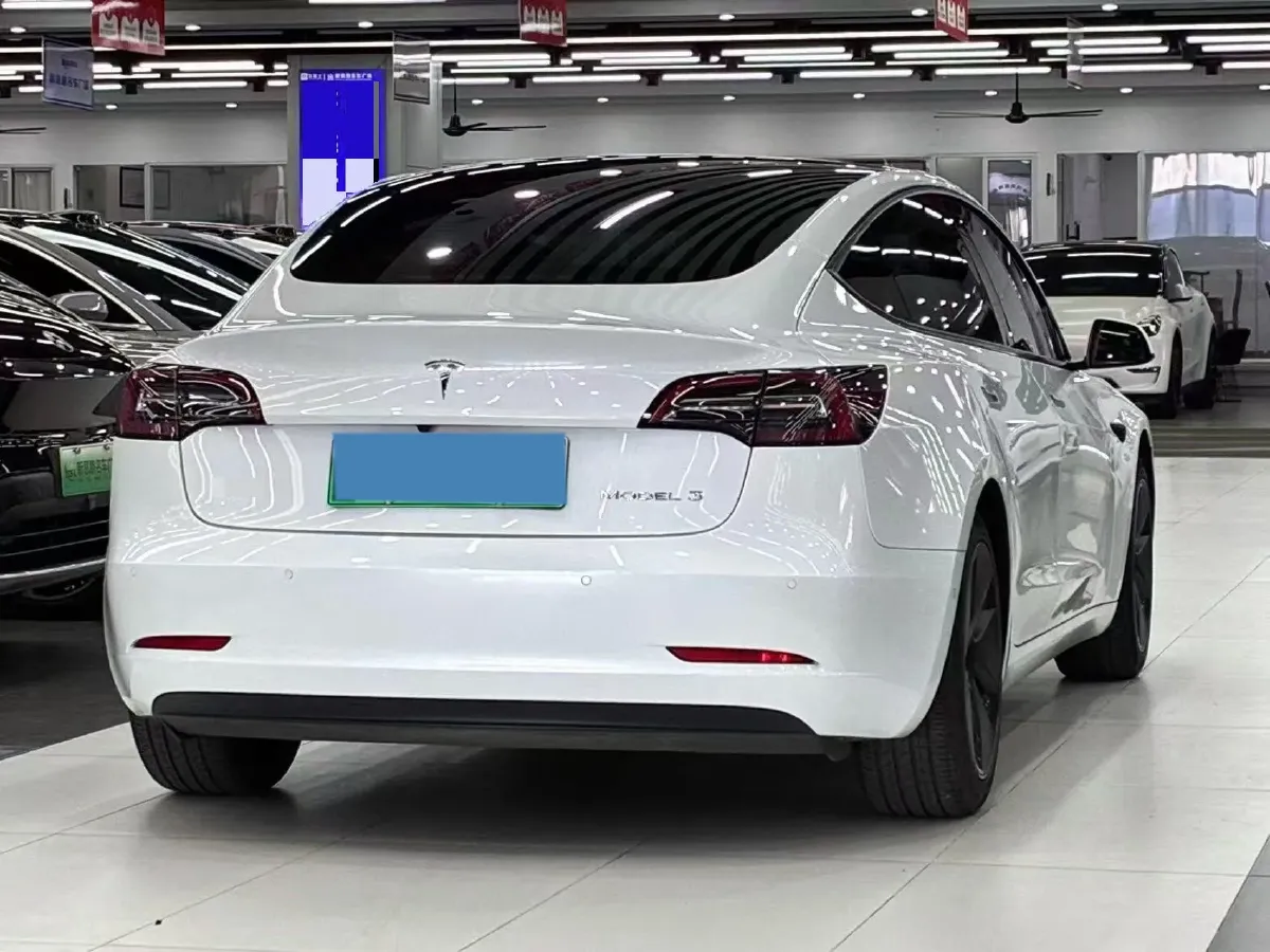 2021 Tesla Model 3 BEV 55KWH,autocango,china used car exporter,china ev exporter,chinese used car exporter,chinese used ev exporter