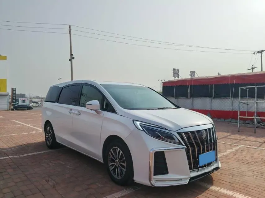 2018 Buick GL8 2.0T 260HP L4 6AT,autocango,china used car exporter,china ev exporter,chinese used car exporter,chinese used ev exporter