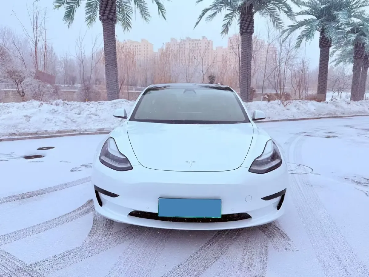 2020 Tesla Model 3 BEV 55KWH,autocango,china used car exporter,china ev exporter,chinese used car exporter,chinese used ev exporter