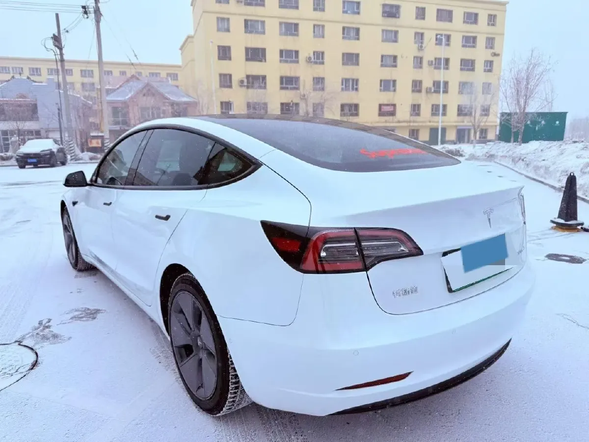 2020 Tesla Model 3 BEV 55KWH,autocango,china used car exporter,china ev exporter,chinese used car exporter,chinese used ev exporter