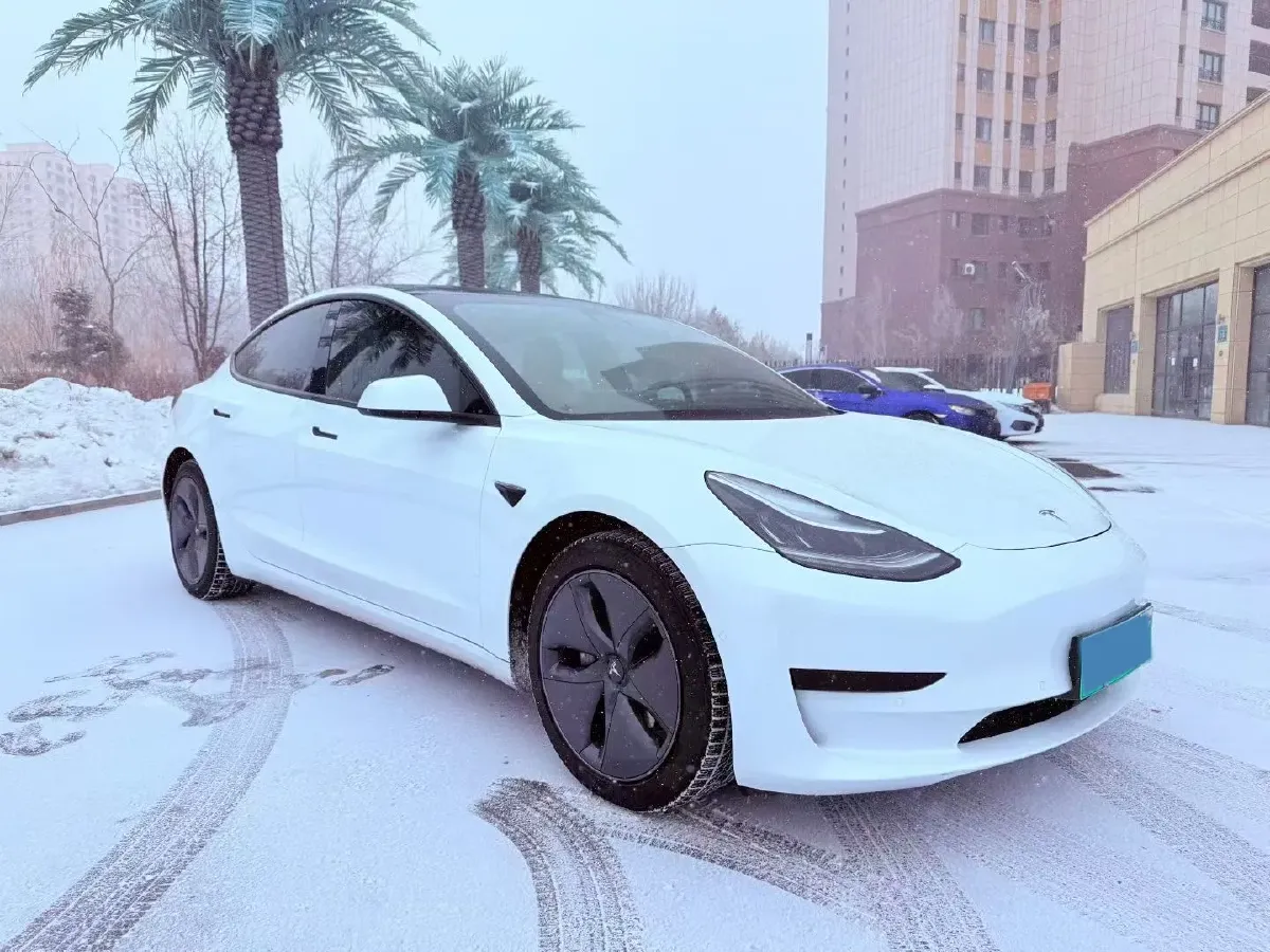 2020 Tesla Model 3 BEV 55KWH,autocango,china used car exporter,china ev exporter,chinese used car exporter,chinese used ev exporter