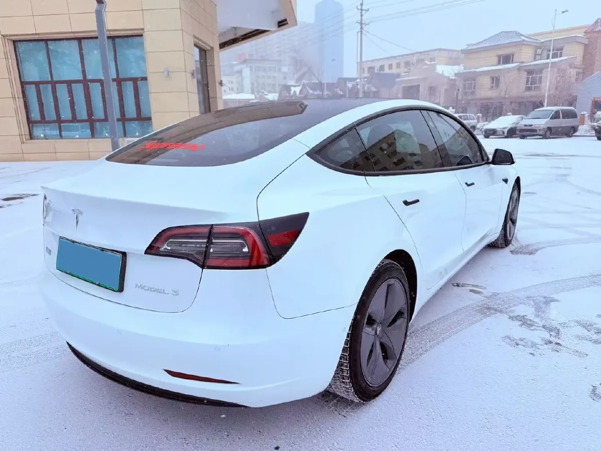 2020 Tesla Model 3 BEV 55KWH,autocango,china used car exporter,china ev exporter,chinese used car exporter,chinese used ev exporter