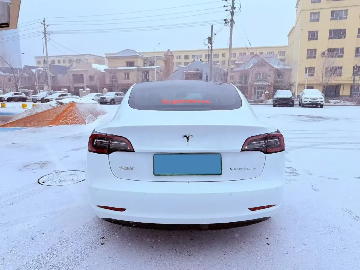 2020 Tesla Model 3 BEV 55KWH,autocango,china used car exporter,china ev exporter,chinese used car exporter,chinese used ev exporter