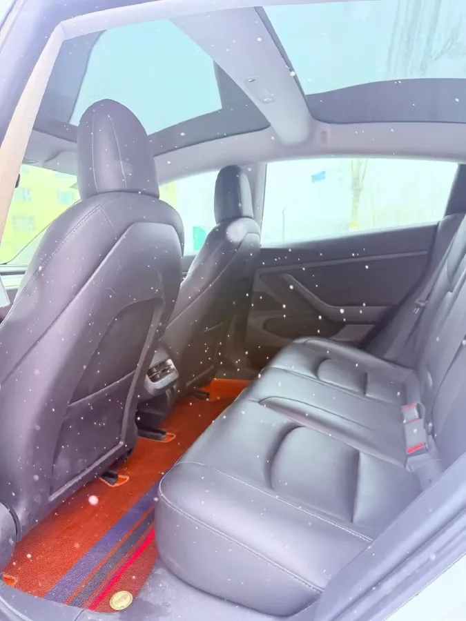 2020 Tesla Model 3 BEV 55KWH,autocango,china used car exporter,china ev exporter,chinese used car exporter,chinese used ev exporter