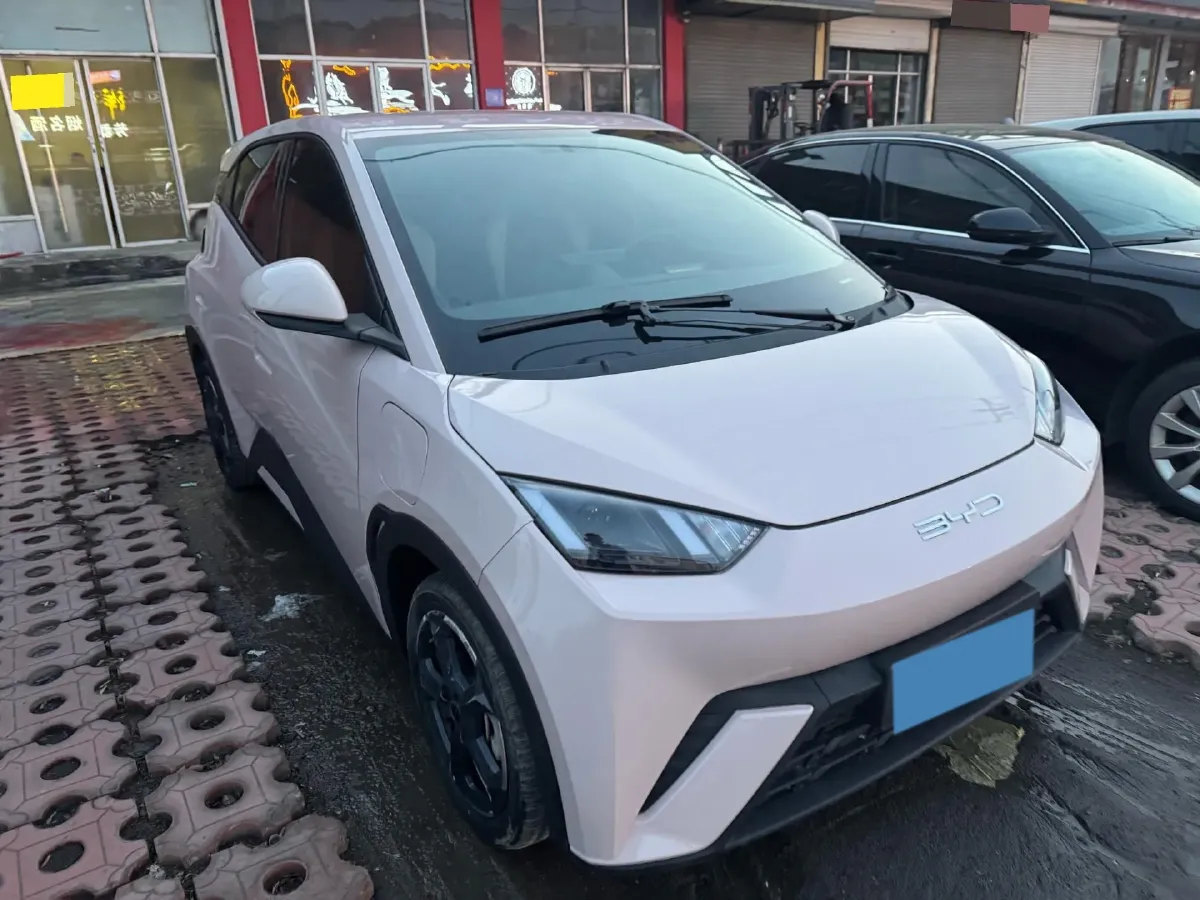 2023 BYD Seagull BEV 30.08KWH,autocango,china used car exporter,china ev exporter,chinese used car exporter,chinese used ev exporter