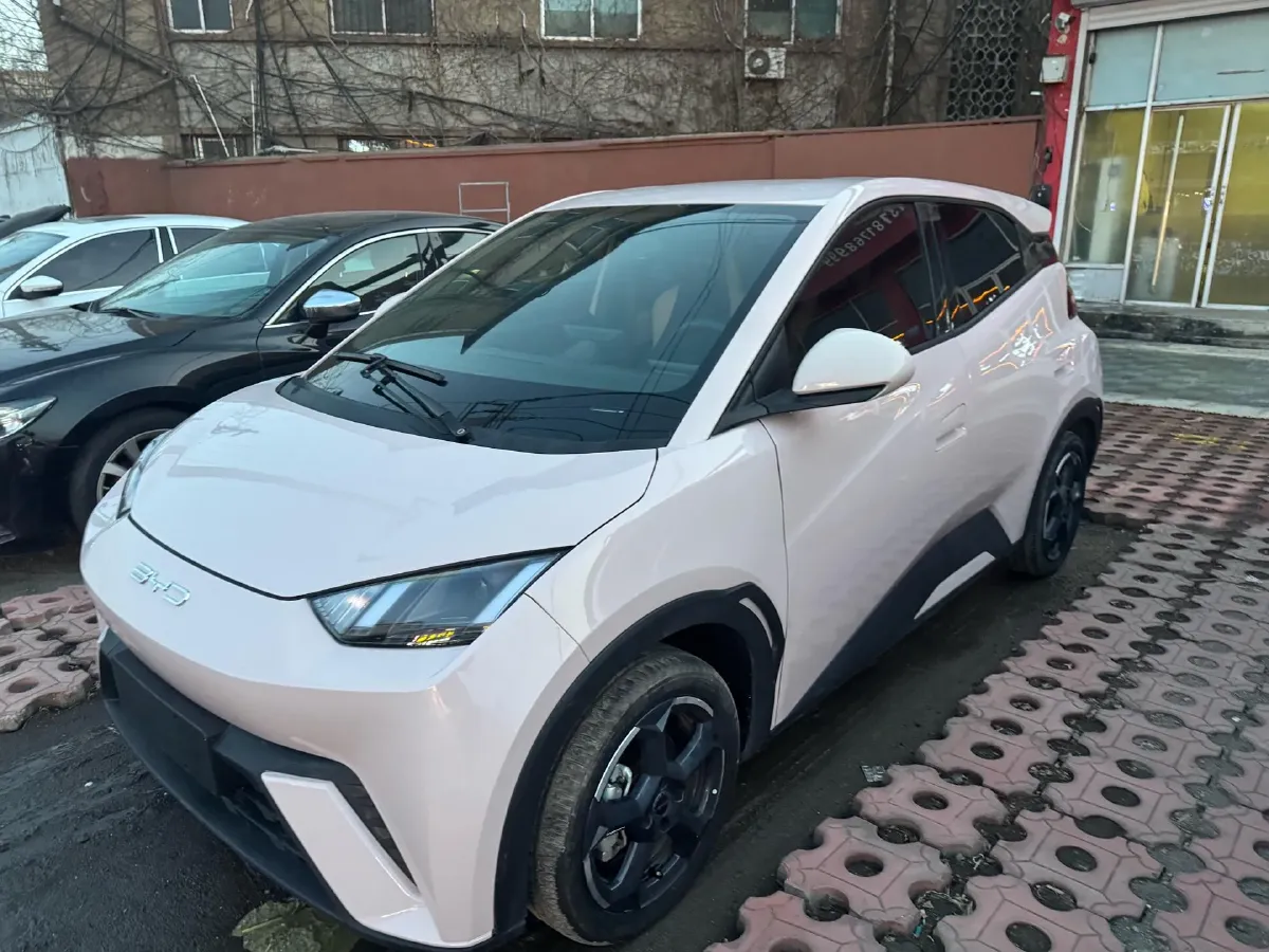 2023 BYD Seagull BEV 30.08KWH,autocango,china used car exporter,china ev exporter,chinese used car exporter,chinese used ev exporter