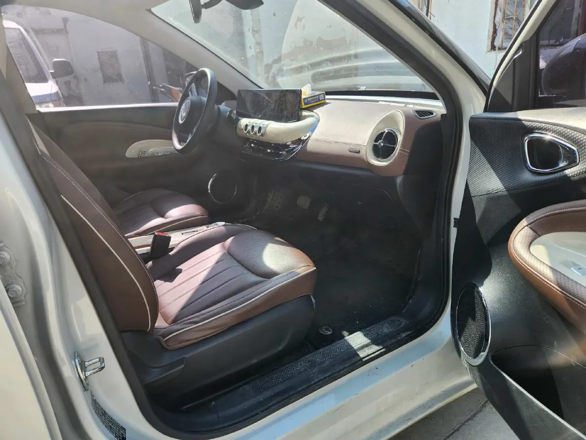 2023 WuLing BinGuo BEV 31.9KWH,autocango,china used car exporter,china ev exporter,chinese used car exporter,chinese used ev exporter