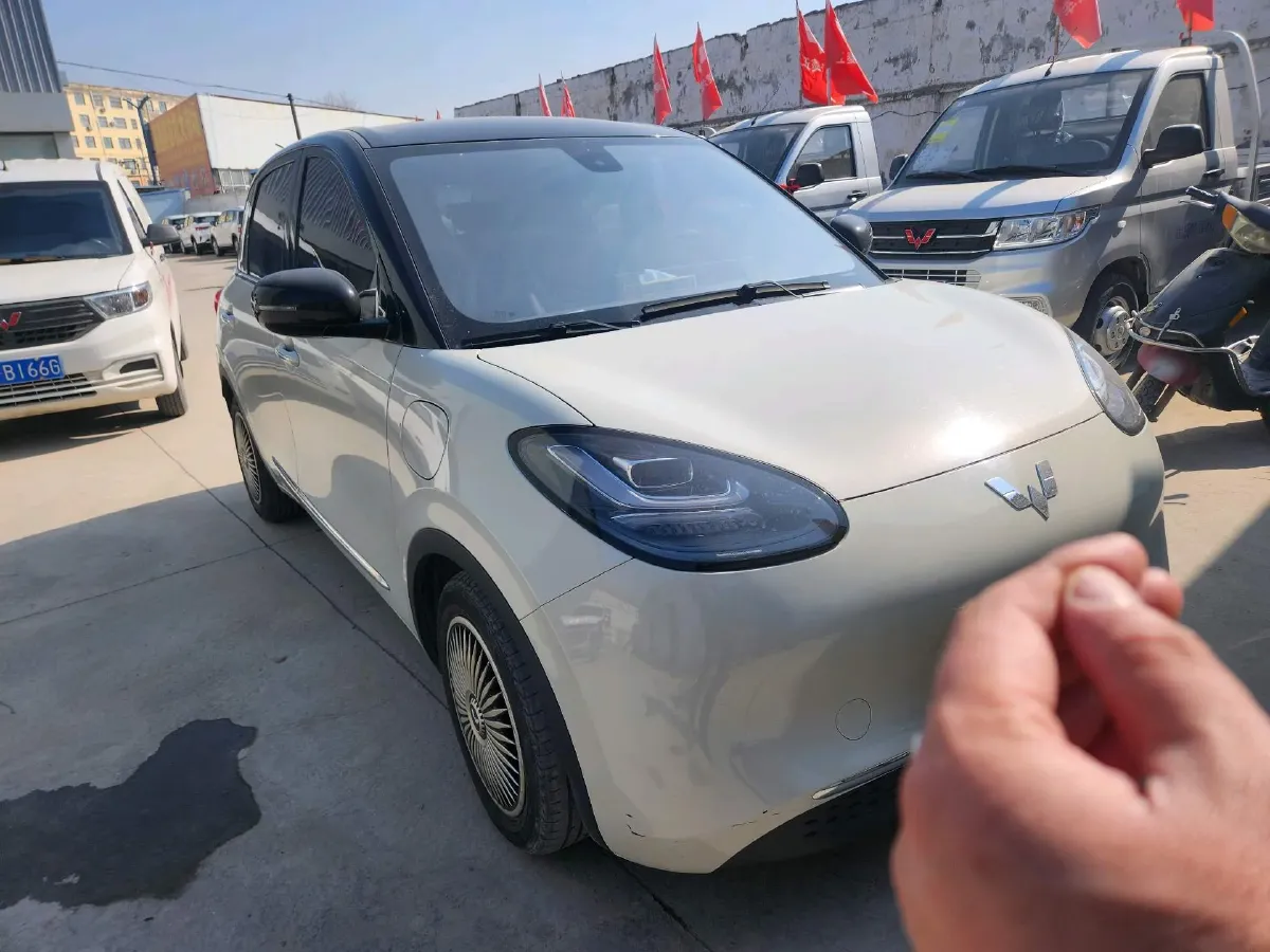 2023 WuLing BinGuo BEV 31.9KWH,autocango,china used car exporter,china ev exporter,chinese used car exporter,chinese used ev exporter