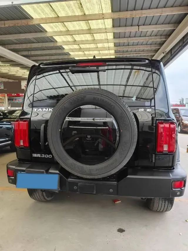2021 Tank 300 2.0T 227HP L4 8AT,autocango,china used car exporter,china ev exporter,chinese used car exporter,chinese used ev exporter