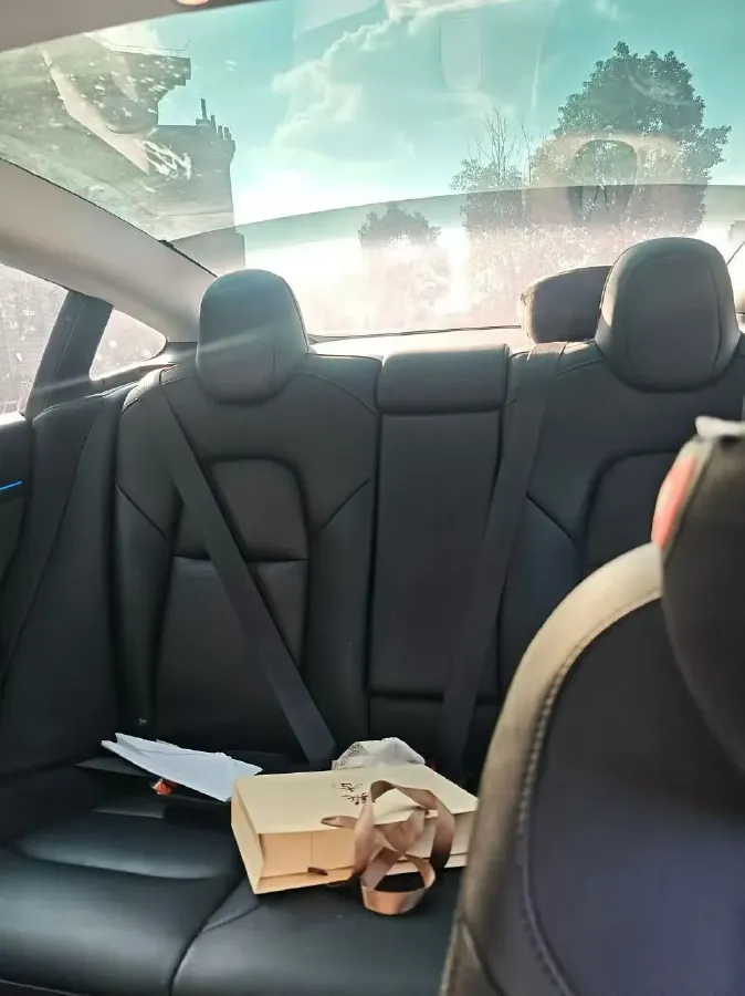 2022 Tesla Model 3 BEV 60KWH,autocango,china used car exporter,china ev exporter,chinese used car exporter,chinese used ev exporter