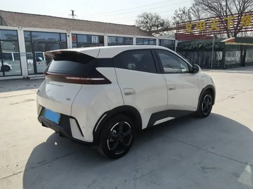 2024 BYD Seagull BEV 30.08KWH,autocango,china used car exporter,china ev exporter,chinese used car exporter,chinese used ev exporter