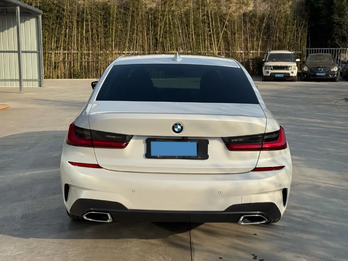2021 BMW 3 Series 2.0T 156HP L4 8AT,autocango,china used car exporter,china ev exporter,chinese used car exporter,chinese used ev exporter