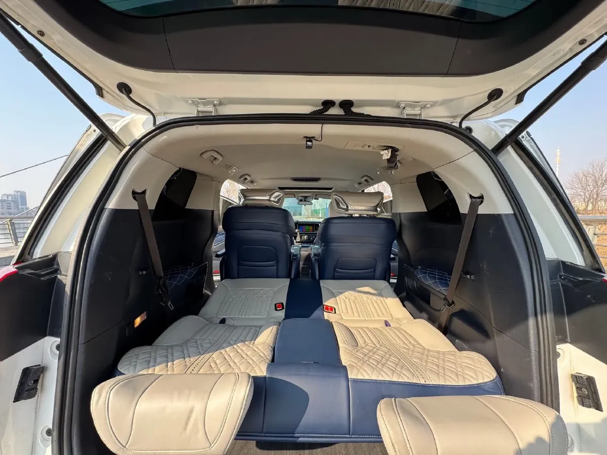 2020 GAC Trumpchi M8 2.0T 252HP L4 8AT,autocango,china used car exporter,china ev exporter,chinese used car exporter,chinese used ev exporter