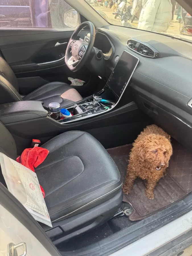 2020 Hyundai ix25 1.5L 115HP L4 CVT,autocango,china used car exporter,china ev exporter,chinese used car exporter,chinese used ev exporter