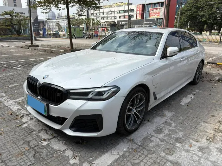 2021 BMW 5 Series 2.0T 184HP L4 8AT PHEV 17.7KWH,autocango,china used car exporter,china ev exporter,chinese used car exporter,chinese used ev exporter