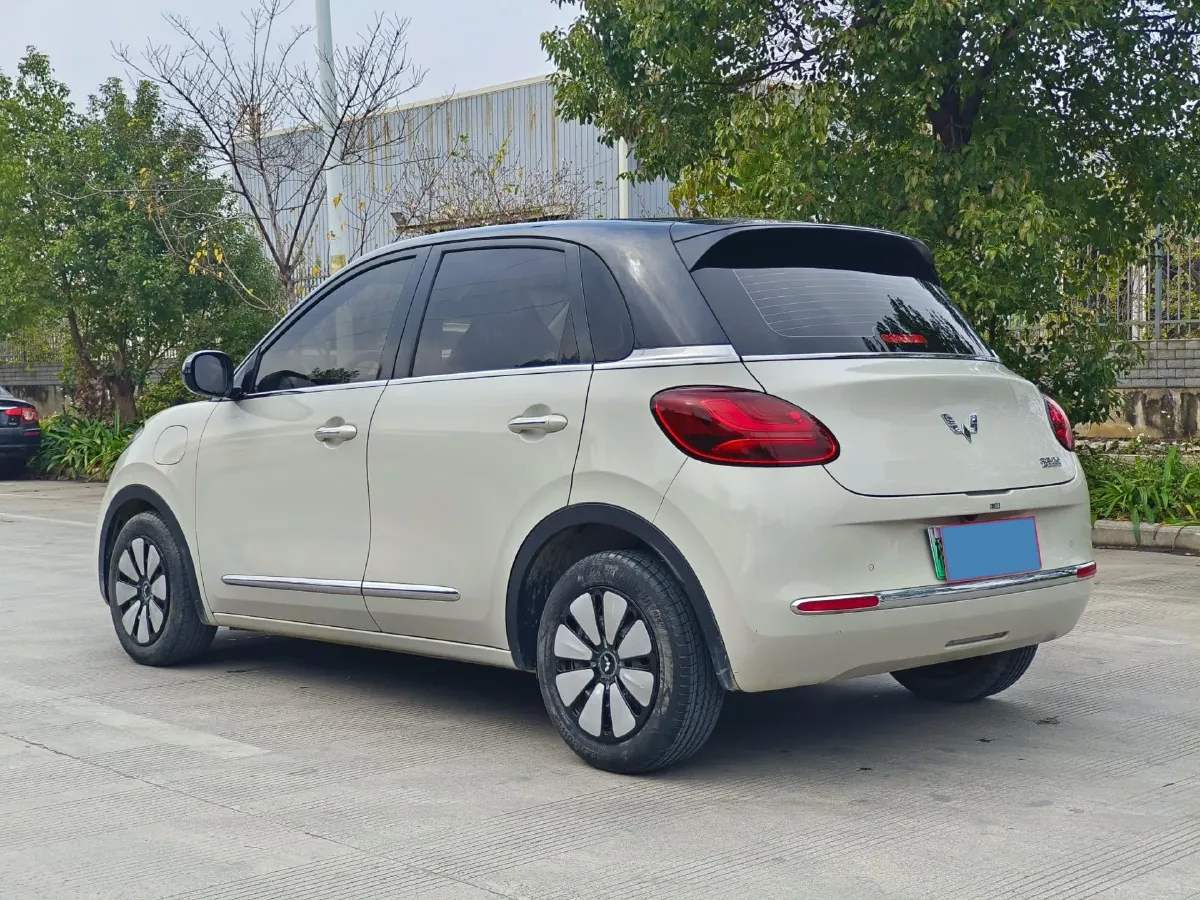 2023 WuLing BinGuo BEV 31.9KWH,autocango,china used car exporter,china ev exporter,chinese used car exporter,chinese used ev exporter