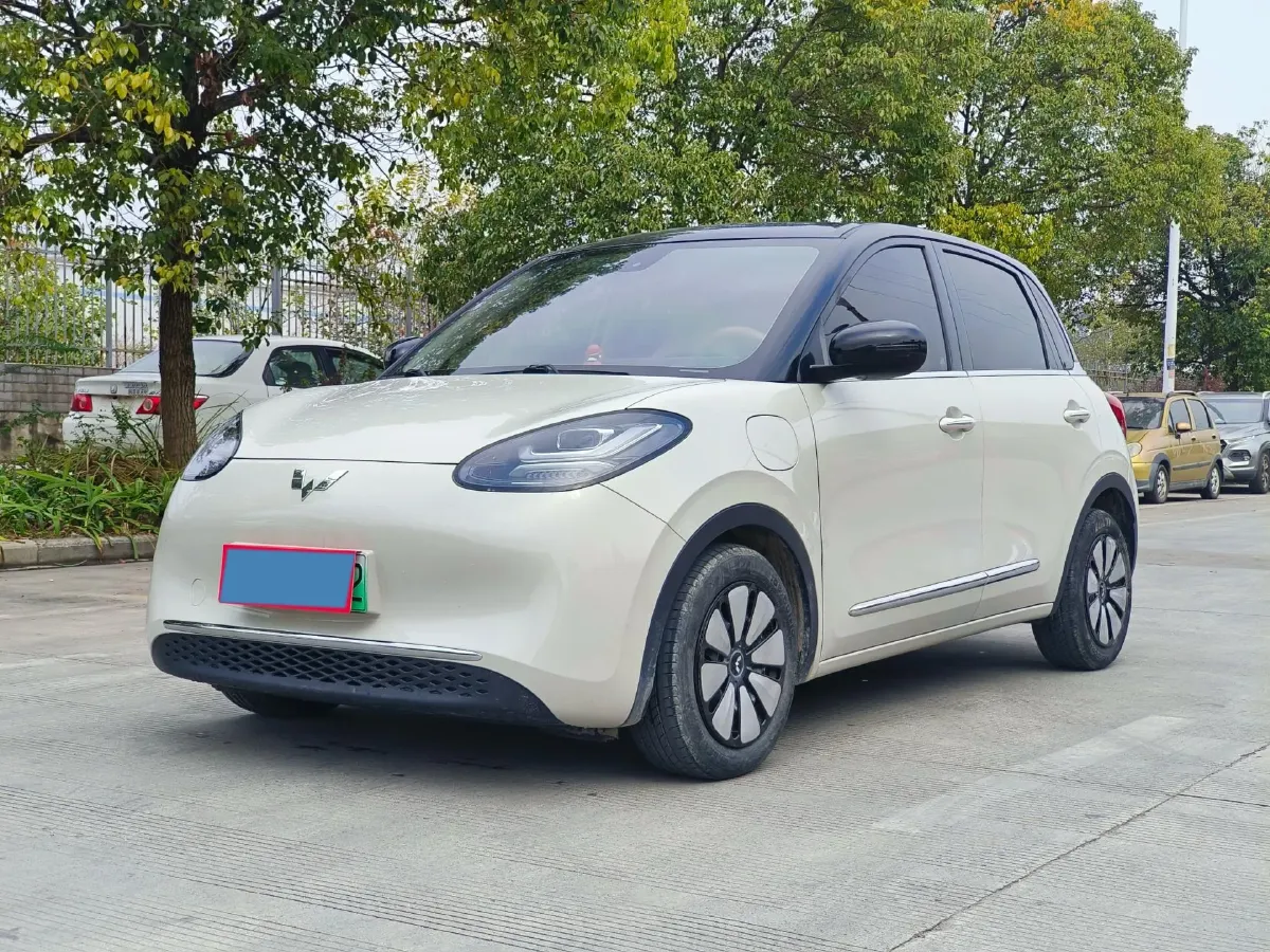 2023 WuLing BinGuo BEV 31.9KWH,autocango,china used car exporter,china ev exporter,chinese used car exporter,chinese used ev exporter