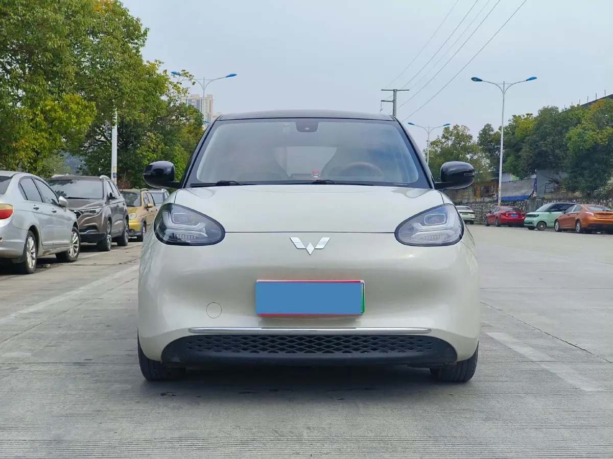 2023 WuLing BinGuo BEV 31.9KWH,autocango,china used car exporter,china ev exporter,chinese used car exporter,chinese used ev exporter