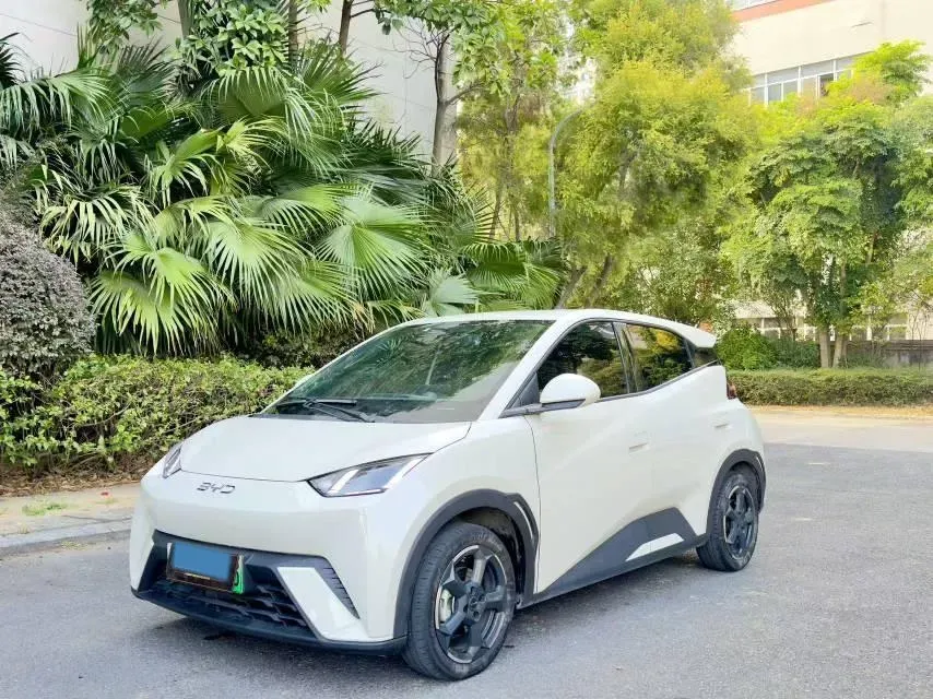 2023 BYD Seagull BEV 30.08KWH,autocango,china used car exporter,china ev exporter,chinese used car exporter,chinese used ev exporter