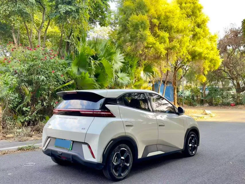 2023 BYD Seagull BEV 30.08KWH,autocango,china used car exporter,china ev exporter,chinese used car exporter,chinese used ev exporter