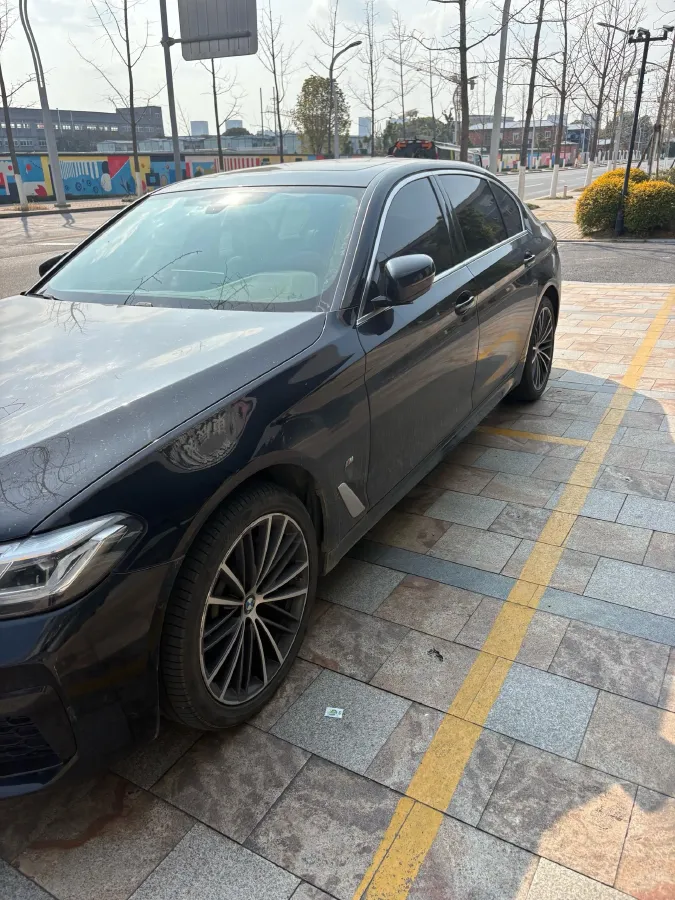 2021 BMW 5 Series 2.0T 252HP L4 8AT,autocango,china used car exporter,china ev exporter,chinese used car exporter,chinese used ev exporter