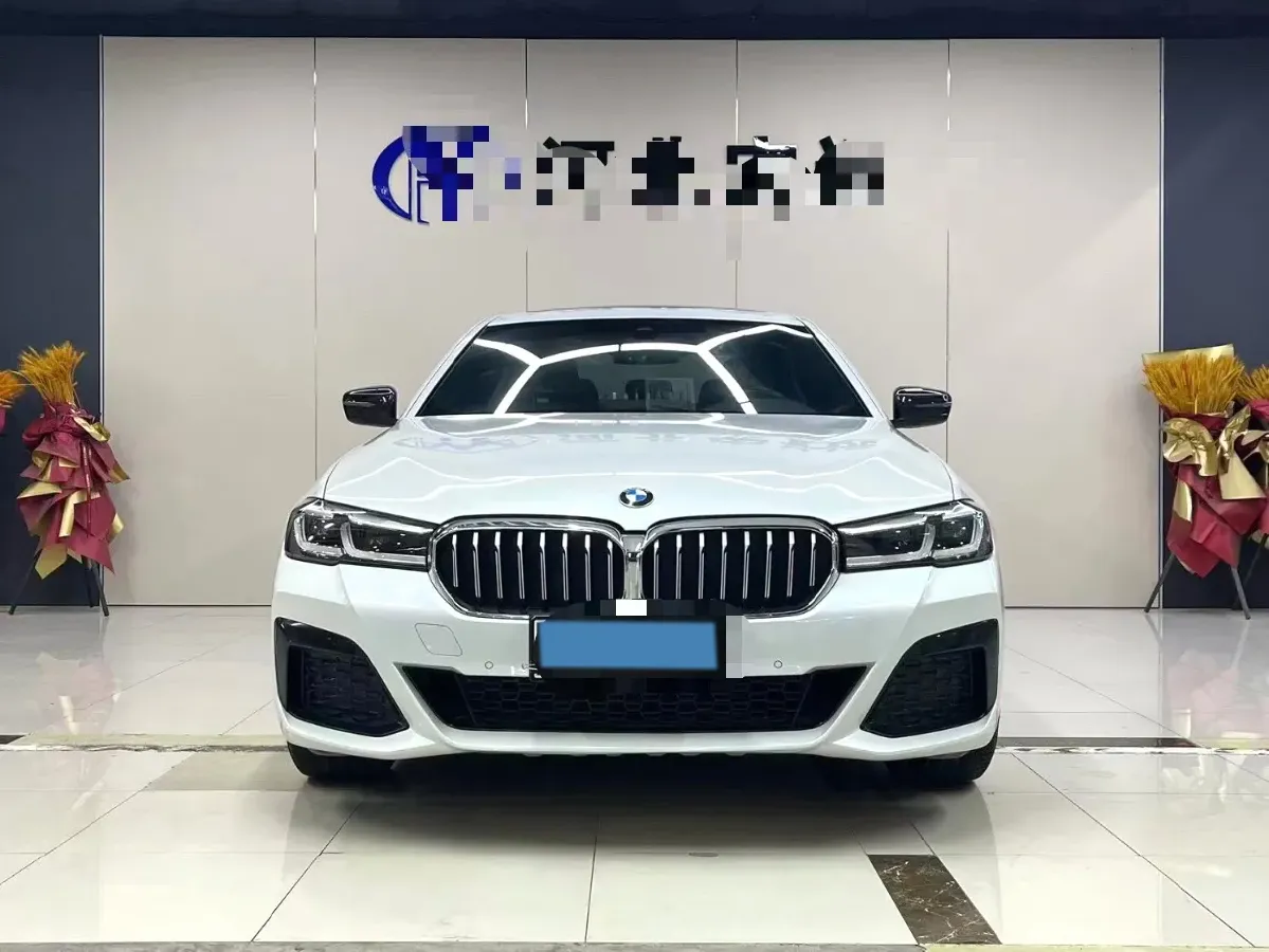 2021 BMW 5 Series 2.0T 184HP L4 8AT,autocango,china used car exporter,china ev exporter,chinese used car exporter,chinese used ev exporter