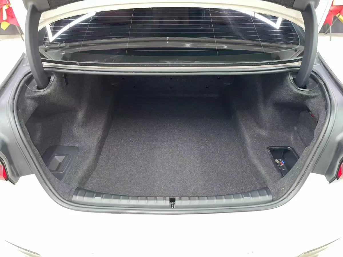 2021 BMW 5 Series 2.0T 184HP L4 8AT,autocango,china used car exporter,china ev exporter,chinese used car exporter,chinese used ev exporter