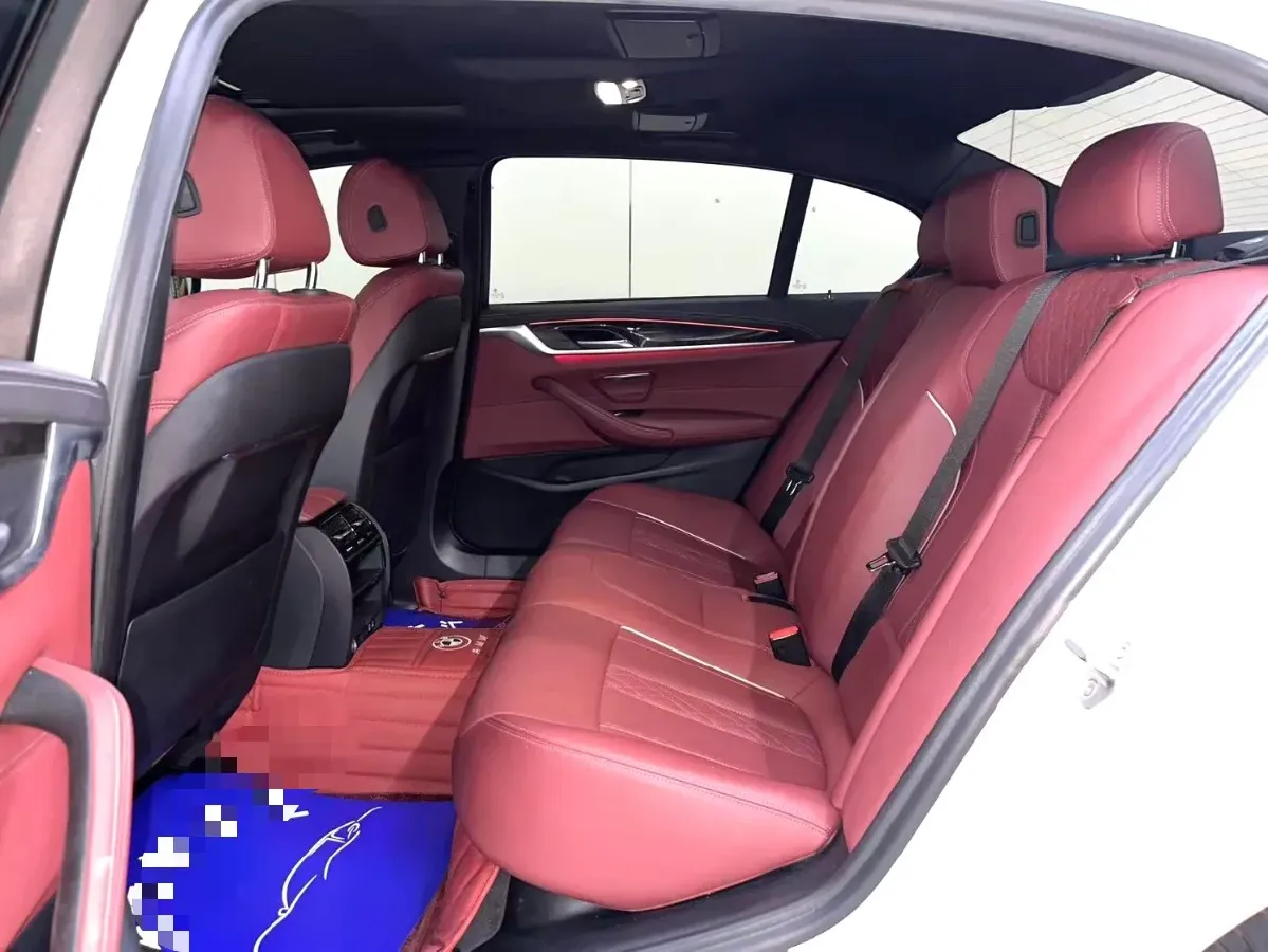 2021 BMW 5 Series 2.0T 184HP L4 8AT,autocango,china used car exporter,china ev exporter,chinese used car exporter,chinese used ev exporter