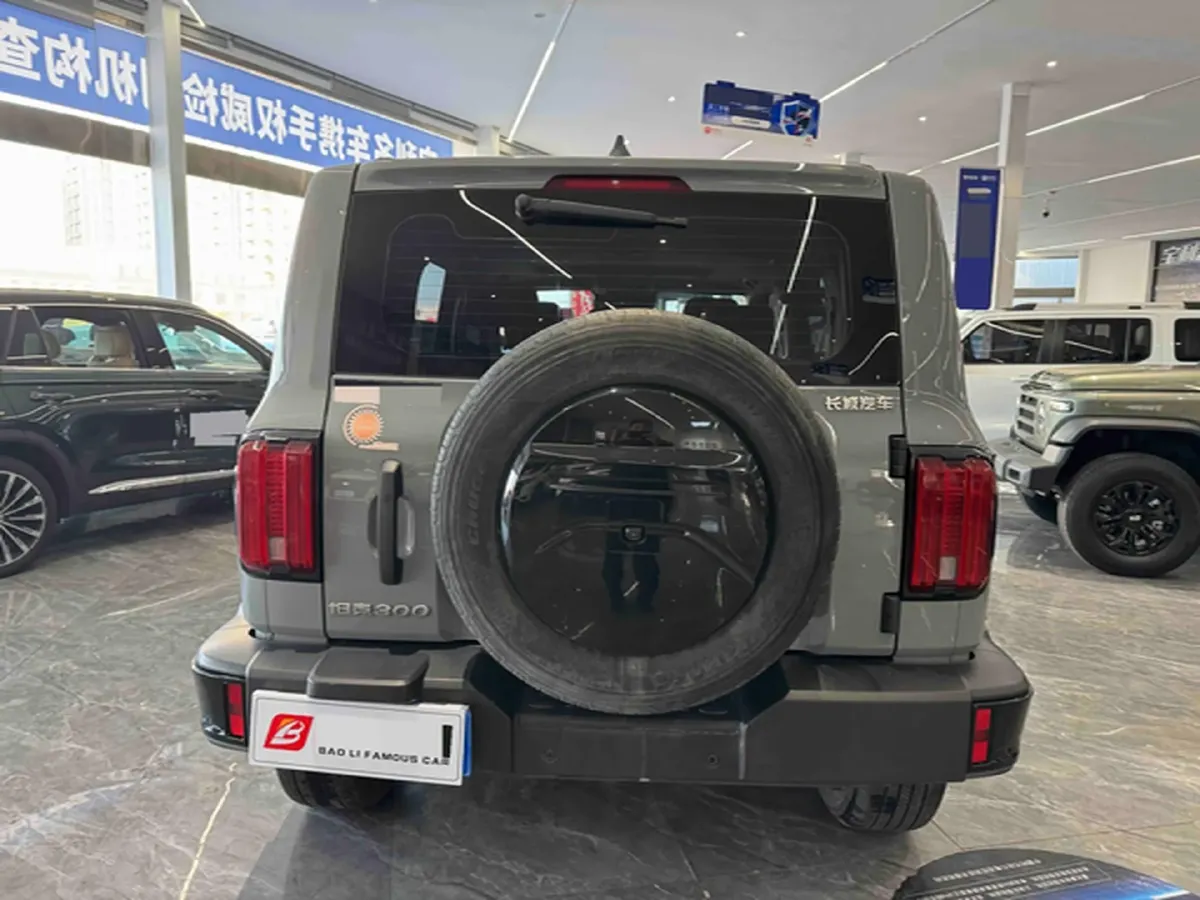 2023 Tank 300 2.0T 227HP L4 8AT,autocango,china used car exporter,china ev exporter,chinese used car exporter,chinese used ev exporter