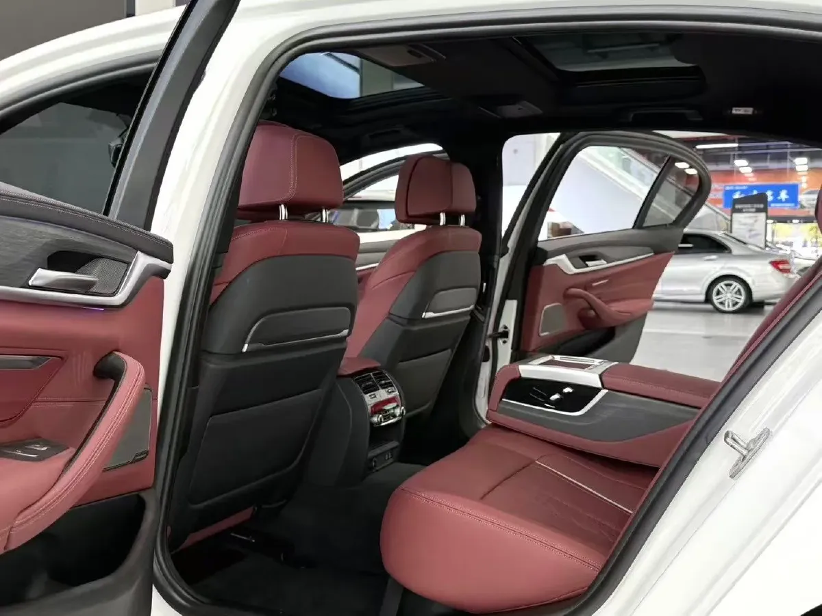 2021 BMW 5 Series 2.0T 252HP L4 8AT,autocango,china used car exporter,china ev exporter,chinese used car exporter,chinese used ev exporter