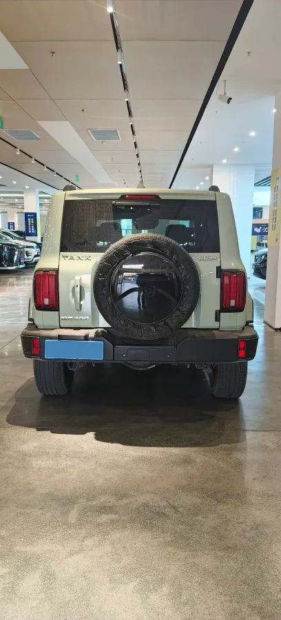 2023 Tank 300 2.0T 227HP L4 8AT,autocango,china used car exporter,china ev exporter,chinese used car exporter,chinese used ev exporter