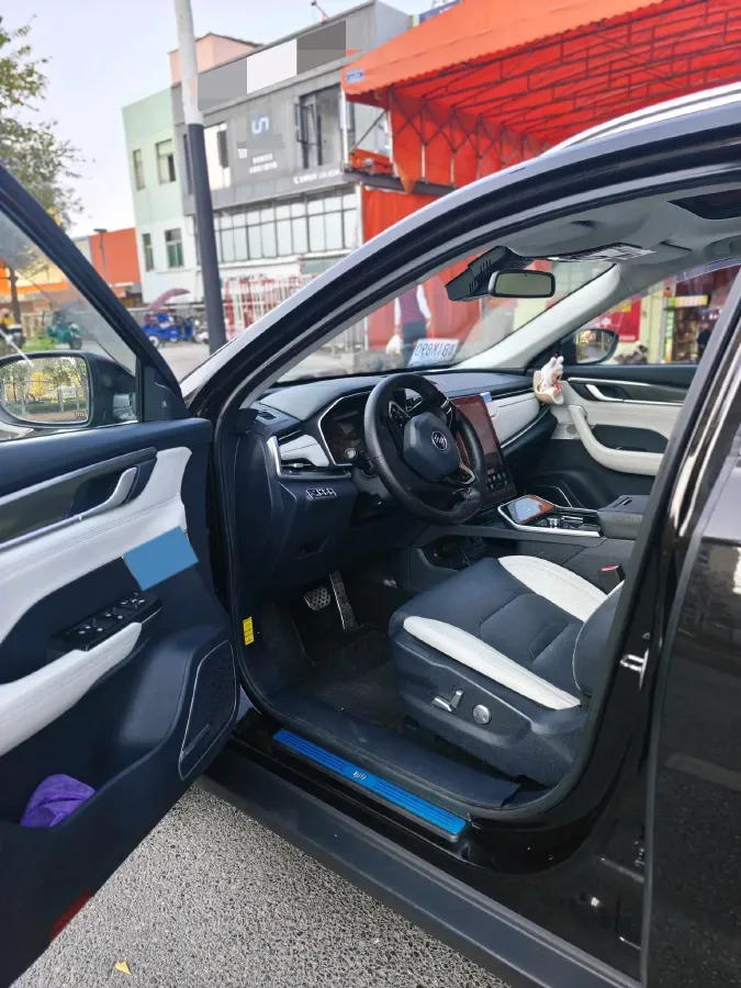 2018 Weltmeister EX5 BEV 52.56KWH,autocango,china used car exporter,china ev exporter,chinese used car exporter,chinese used ev exporter