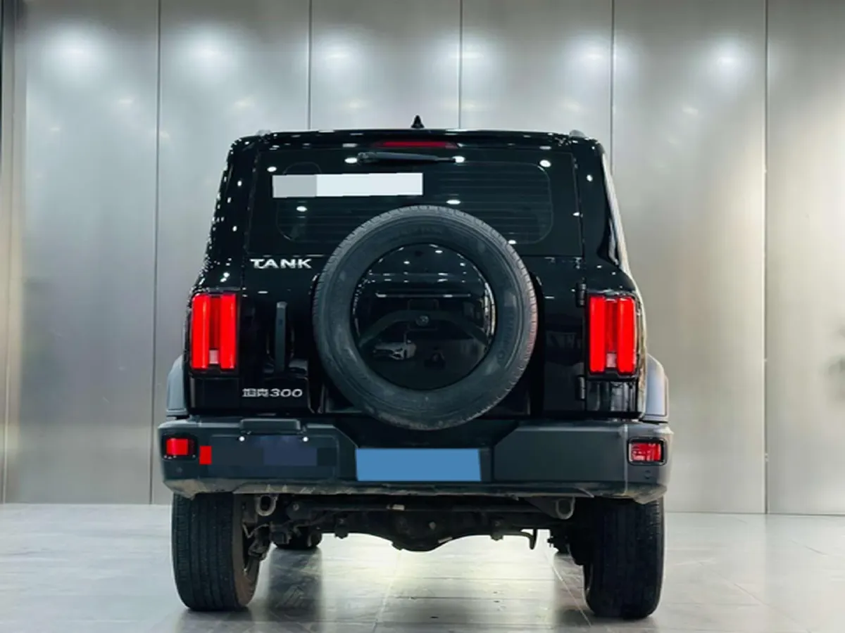 2023 Tank 300 2.0T 227HP L4 8AT,autocango,china used car exporter,china ev exporter,chinese used car exporter,chinese used ev exporter