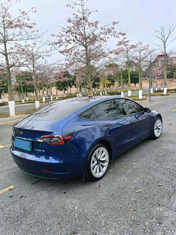 2021 Tesla Model 3 BEV 55KWH,autocango,china used car exporter,china ev exporter,chinese used car exporter,chinese used ev exporter