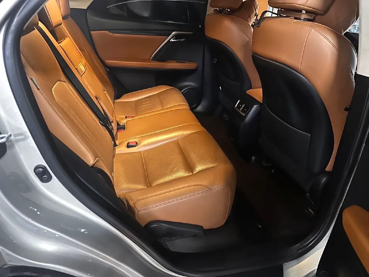 2020 Lexus RX 2.0T 231HP L4 6AT,autocango,china used car exporter,china ev exporter,chinese used car exporter,chinese used ev exporter