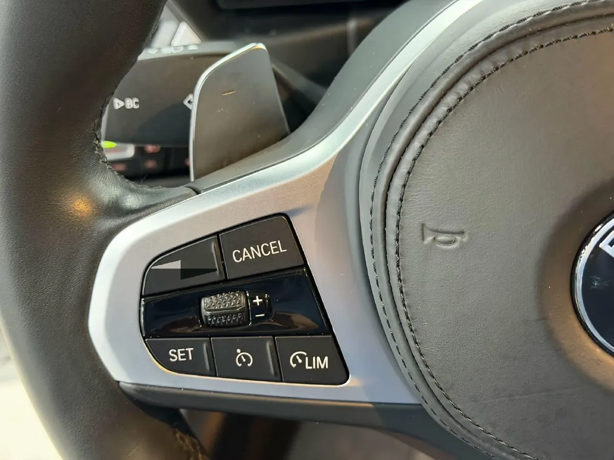 2023 BMW 3 Series 2.0T 156HP L4 8AT,autocango,china used car exporter,china ev exporter,chinese used car exporter,chinese used ev exporter