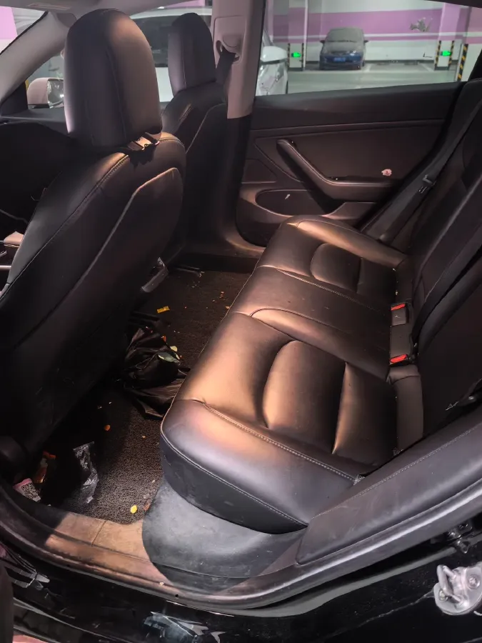 2020 Tesla Model 3 BEV 55KWH,autocango,china used car exporter,china ev exporter,chinese used car exporter,chinese used ev exporter