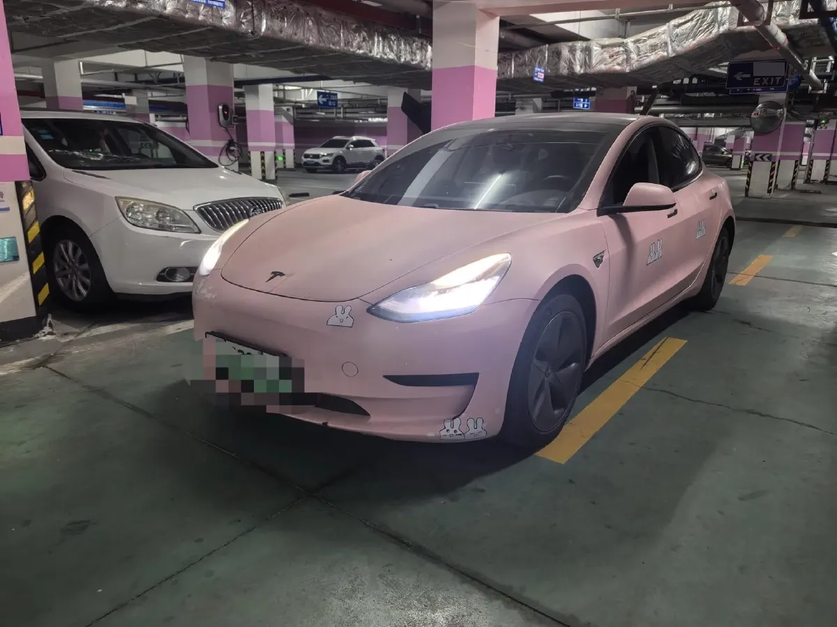 2020 Tesla Model 3 BEV 55KWH,autocango,china used car exporter,china ev exporter,chinese used car exporter,chinese used ev exporter