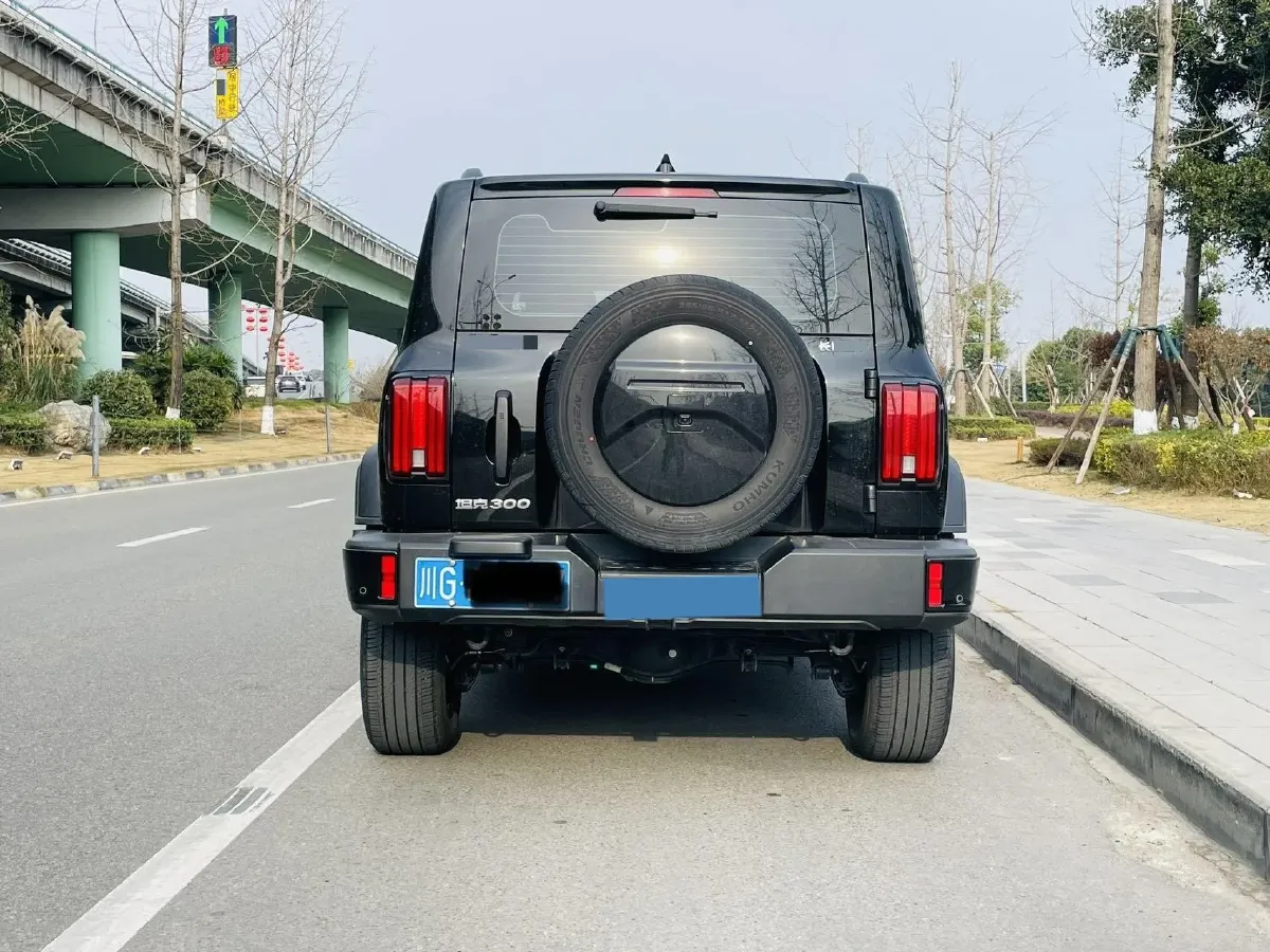 2024 Tank 300 2.0T 227HP L4 8AT,autocango,china used car exporter,china ev exporter,chinese used car exporter,chinese used ev exporter