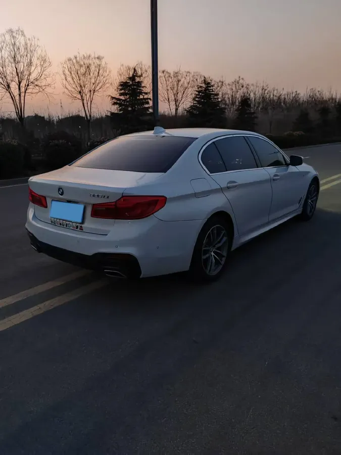 2020 BMW 5 Series 2.0T 184HP L4 8AT,autocango,china used car exporter,china ev exporter,chinese used car exporter,chinese used ev exporter