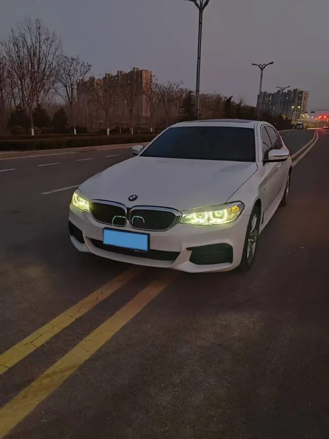 2020 BMW 5 Series 2.0T 184HP L4 8AT,autocango,china used car exporter,china ev exporter,chinese used car exporter,chinese used ev exporter