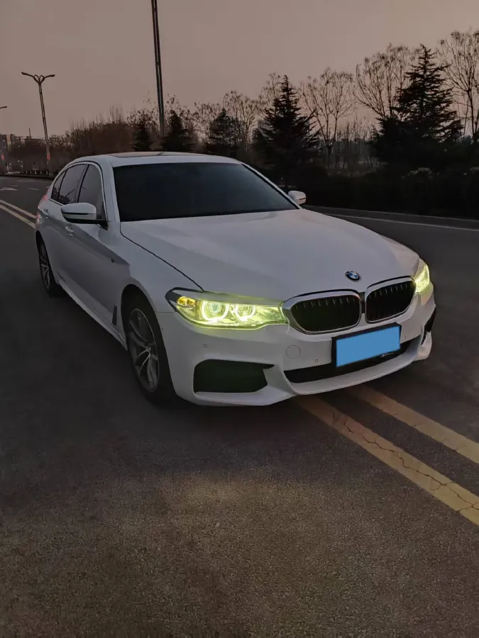 2020 BMW 5 Series 2.0T 184HP L4 8AT,autocango,china used car exporter,china ev exporter,chinese used car exporter,chinese used ev exporter