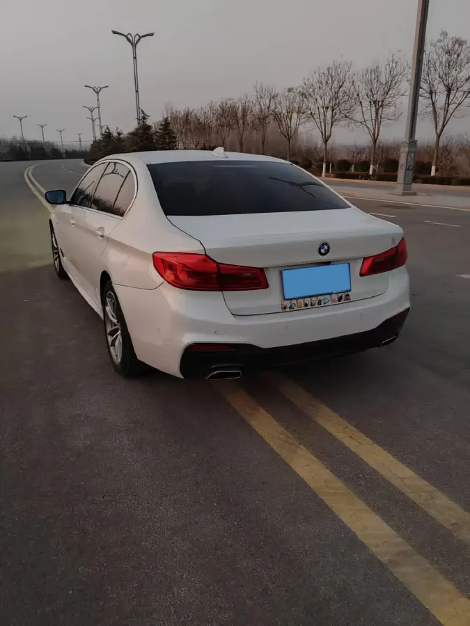 2020 BMW 5 Series 2.0T 184HP L4 8AT,autocango,china used car exporter,china ev exporter,chinese used car exporter,chinese used ev exporter
